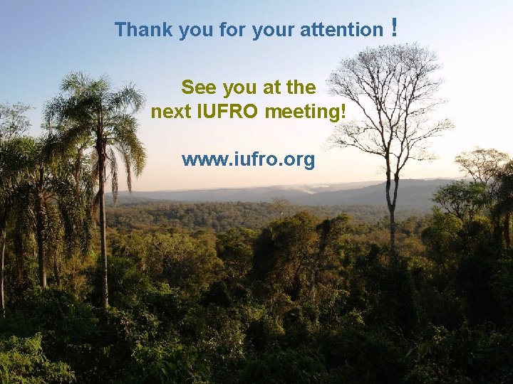 Thank you for your attention ! See you at the next IUFRO meeting! www. Thank you for your attention ! See you at the next IUFRO meeting! www.