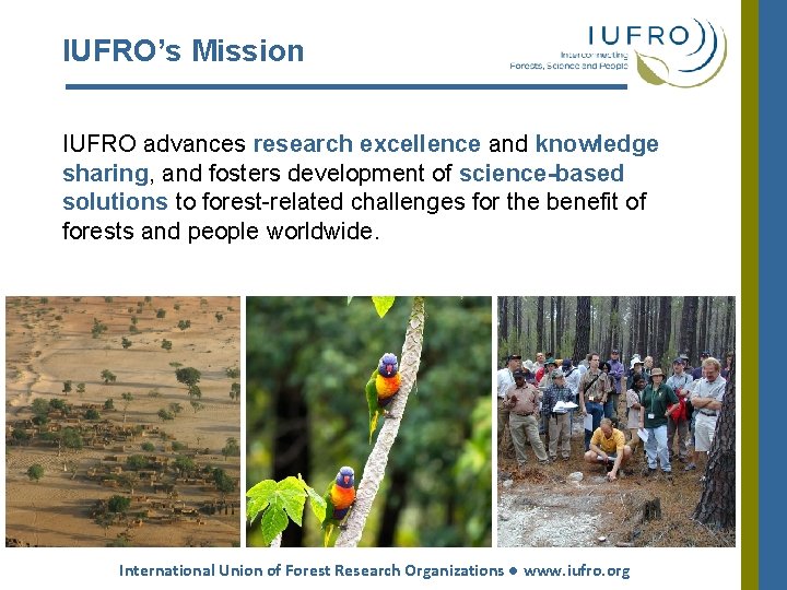 IUFRO’s Mission IUFRO advances research excellence and knowledge sharing, and fosters development of science-based IUFRO’s Mission IUFRO advances research excellence and knowledge sharing, and fosters development of science-based