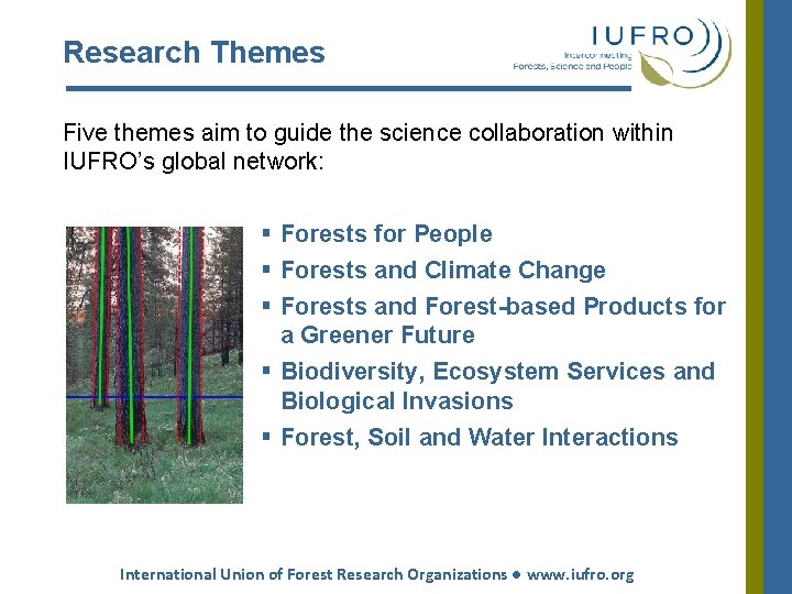 Research Themes Five themes aim to guide the science collaboration within IUFRO’s global network: Research Themes Five themes aim to guide the science collaboration within IUFRO’s global network: