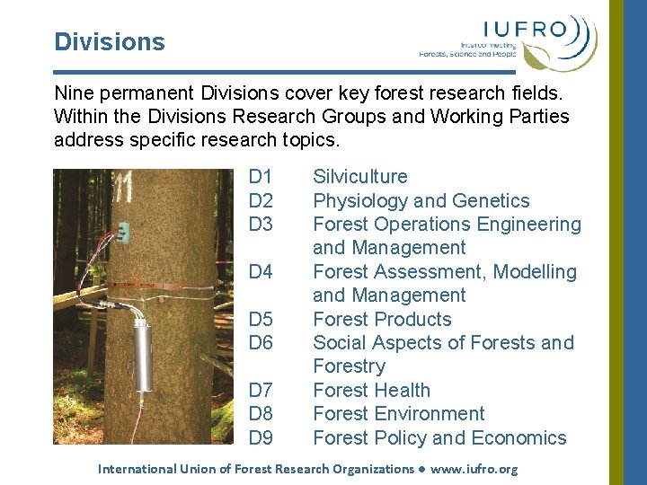 Divisions Nine permanent Divisions cover key forest research fields. Within the Divisions Research Groups Divisions Nine permanent Divisions cover key forest research fields. Within the Divisions Research Groups