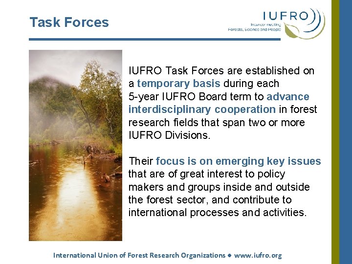 Task Forces IUFRO Task Forces are established on a temporary basis during each 5 Task Forces IUFRO Task Forces are established on a temporary basis during each 5