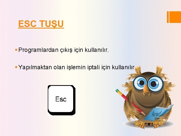 ESC TUŞU § Programlardan çıkış için kullanılır. § Yapılmaktan olan işlemin iptali için kullanılır