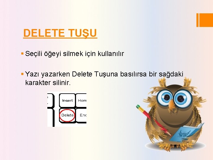 DELETE TUŞU § Seçili öğeyi silmek için kullanılır § Yazı yazarken Delete Tuşuna basılırsa