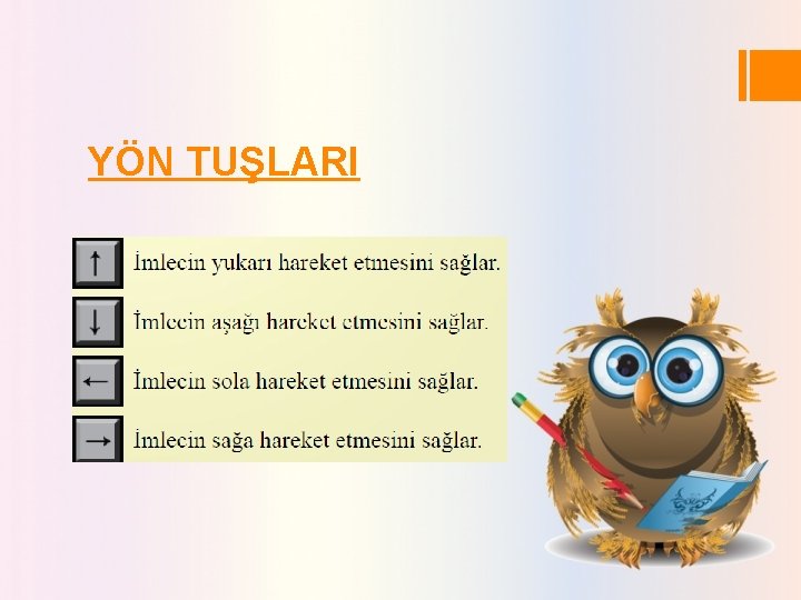 YÖN TUŞLARI 