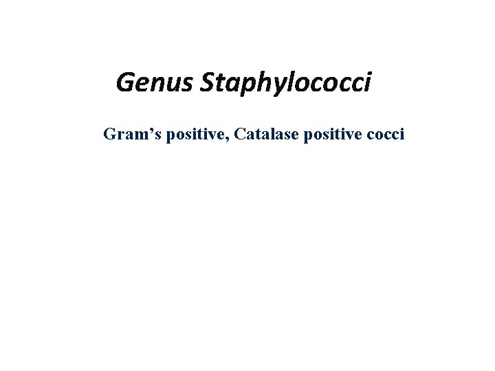 Genus Staphylococci Gram’s positive, Catalase positive cocci 