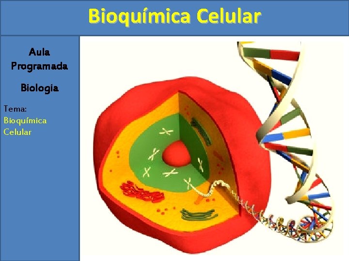 Bioquímica Celular Aula Programada Biologia Tema: Bioquímica Celular 