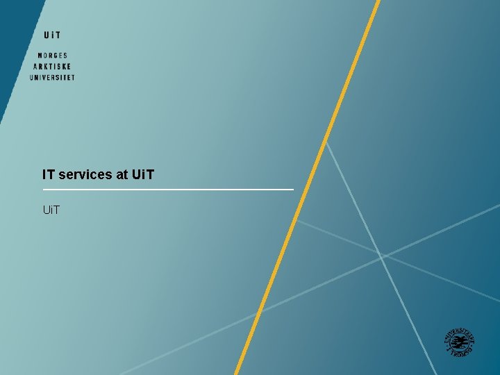 IT services at Ui. T 