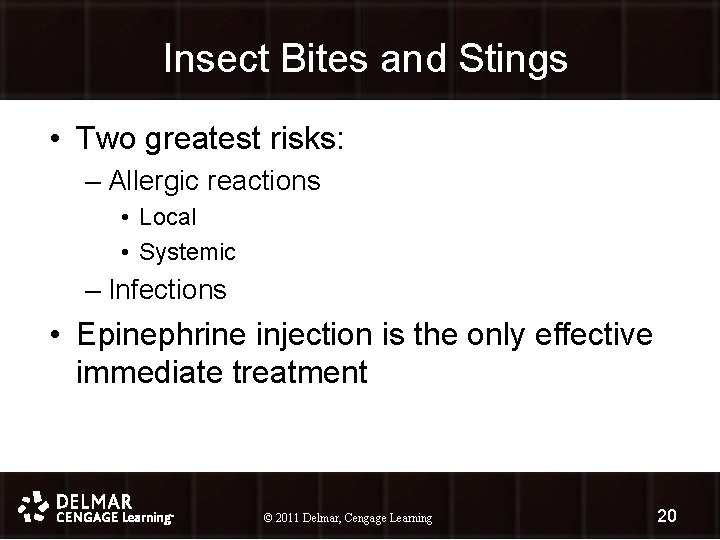 Insect Bites and Stings • Two greatest risks: – Allergic reactions • Local •