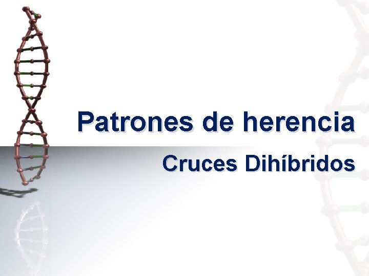 Patrones de herencia Cruces Dihíbridos 