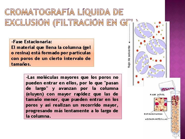 -Fase Estacionaria: El material que llena la columna (gel o resina) está formado por