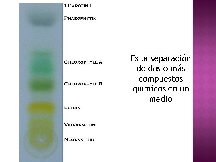 Es la separación de dos o más compuestos químicos en un medio 