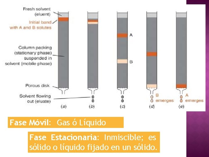 Fase Móvil: Gas ó Líquido Fase Estacionaria: Inmiscible; es sólido o líquido fijado en