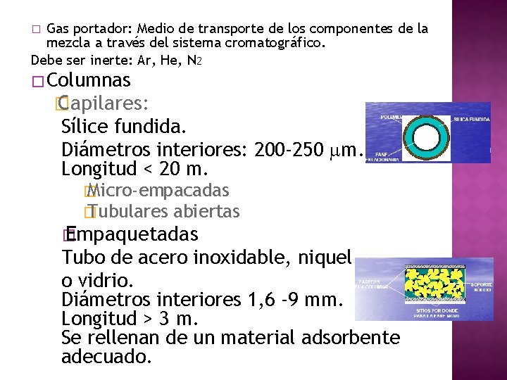 Gas portador: Medio de transporte de los componentes de la mezcla a través del