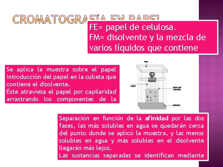 FE= papel de celulosa. FM= disolvente y la mezcla de varios líquidos que contiene
