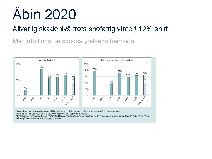 Äbin 2020 Allvarlig skadenivå trots snöfattig vinter! 12% snitt Mer info finns på skogsstyrelsens