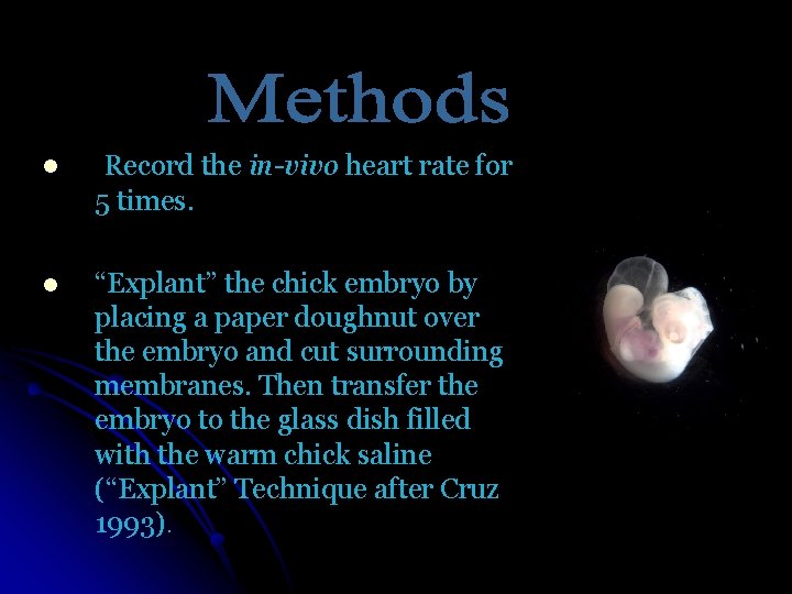 l Record the in-vivo heart rate for 5 times. l “Explant” the chick embryo