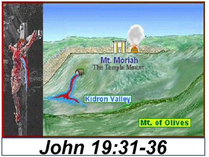 John 19: 31 -36 John 19: 31 -36