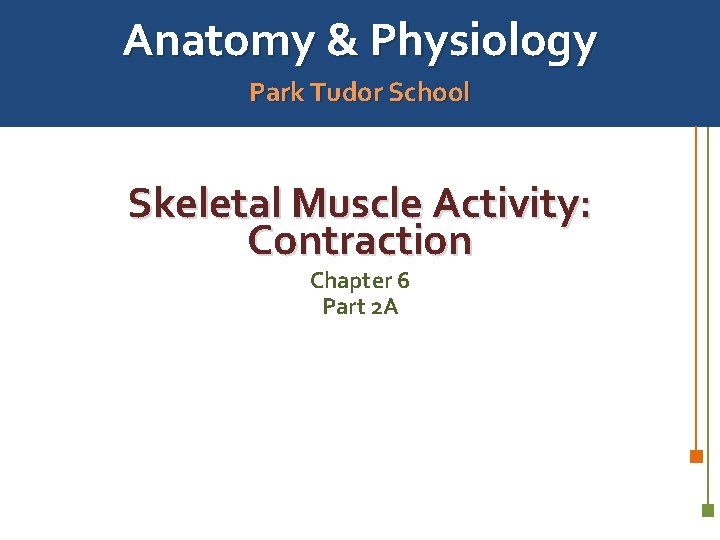 Anatomy & Physiology Park Tudor School Skeletal Muscle Activity: Contraction Chapter 6 Part 2