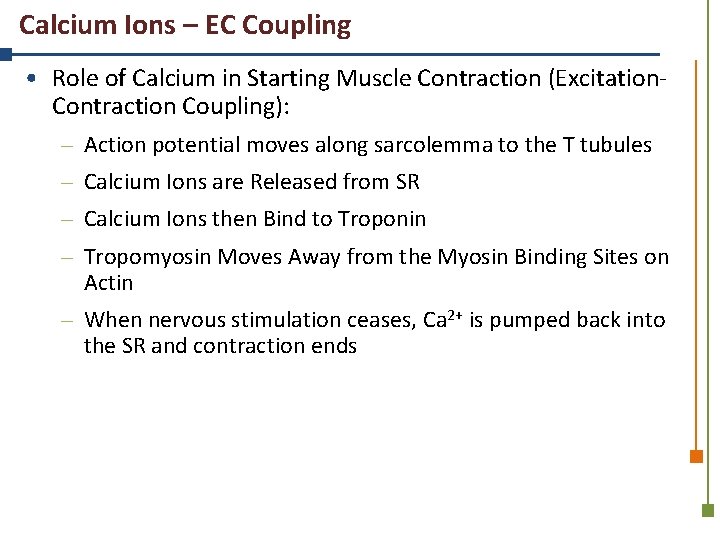 Calcium Ions – EC Coupling • Role of Calcium in Starting Muscle Contraction (Excitation.