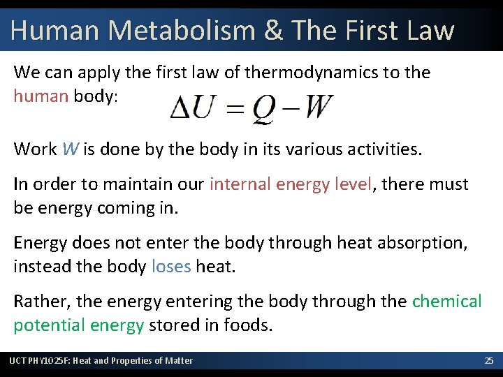 Human Metabolism & The First Law We can apply the first law of thermodynamics