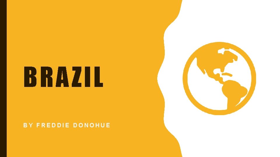 BRAZIL BY FREDDIE DONOHUE 