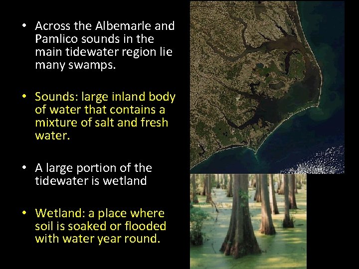 • Across the Albemarle and Pamlico sounds in the main tidewater region lie • Across the Albemarle and Pamlico sounds in the main tidewater region lie