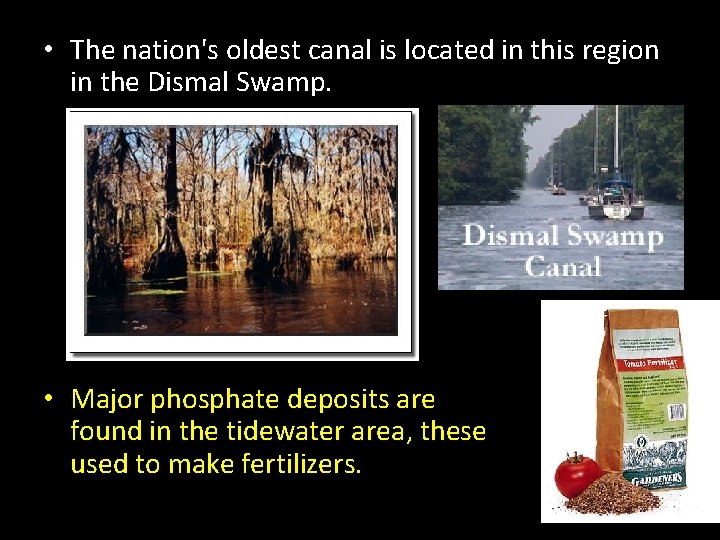 • The nation's oldest canal is located in this region in the Dismal • The nation's oldest canal is located in this region in the Dismal