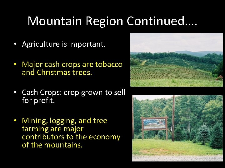 Mountain Region Continued…. • Agriculture is important. • Major cash crops are tobacco and Mountain Region Continued…. • Agriculture is important. • Major cash crops are tobacco and