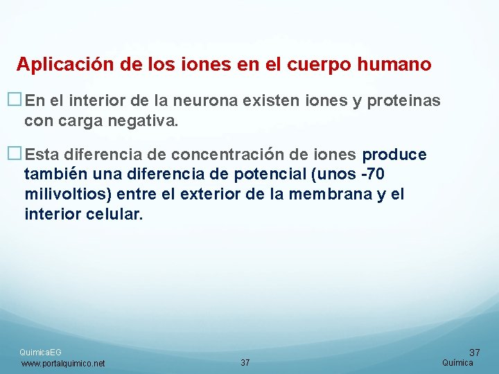 Aplicación de los iones en el cuerpo humano �En el interior de la neurona Aplicación de los iones en el cuerpo humano �En el interior de la neurona
