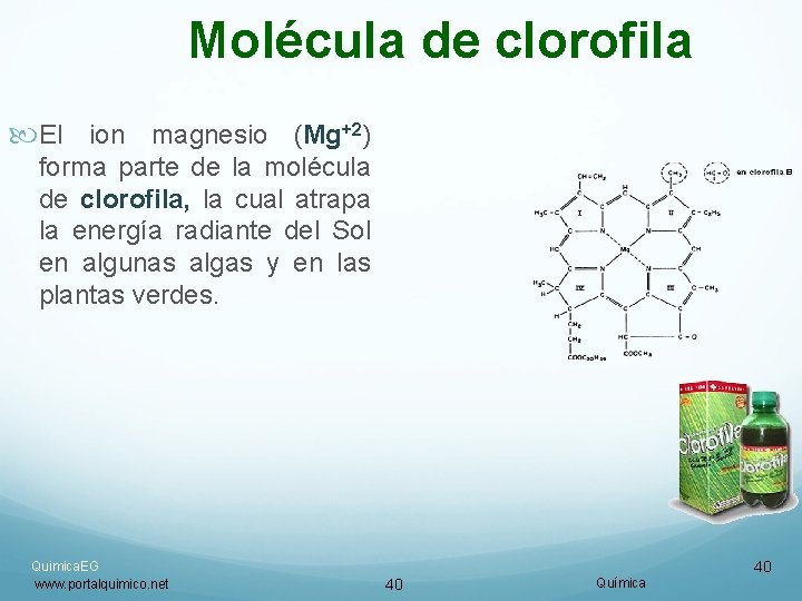 Molécula de clorofila El ion magnesio (Mg+2) forma parte de la molécula de clorofila, Molécula de clorofila El ion magnesio (Mg+2) forma parte de la molécula de clorofila,