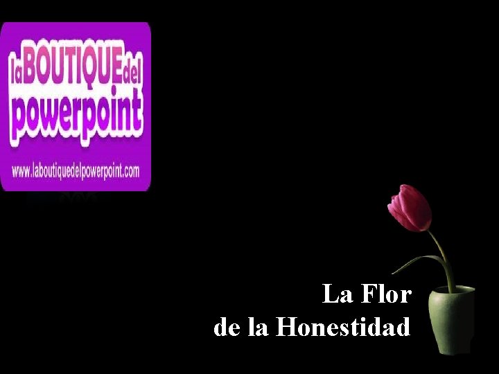 La Flor de la Honestidad 