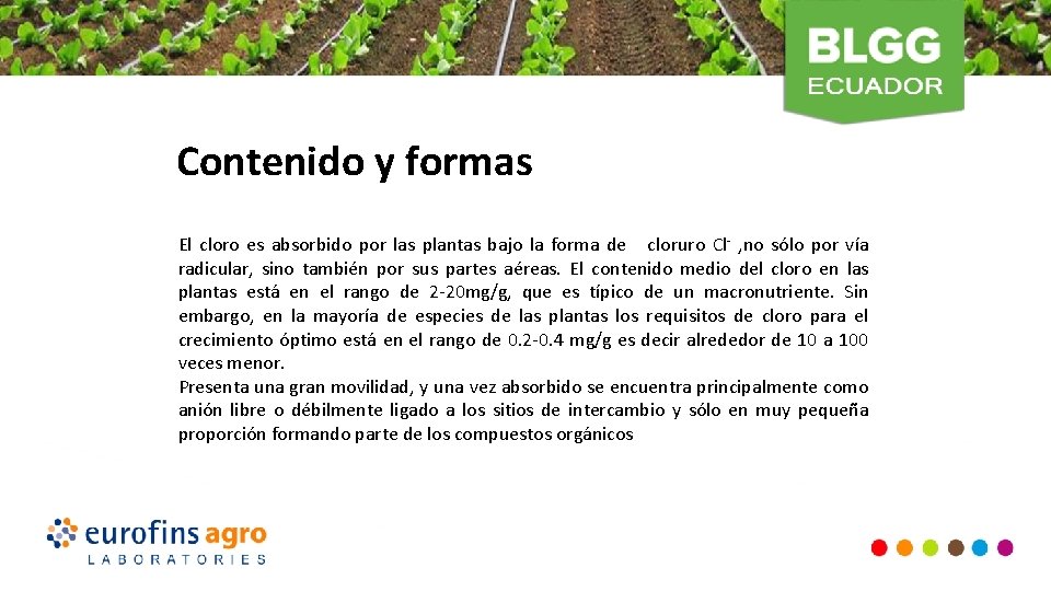 Contenido y formas El cloro es absorbido por las plantas bajo la forma de