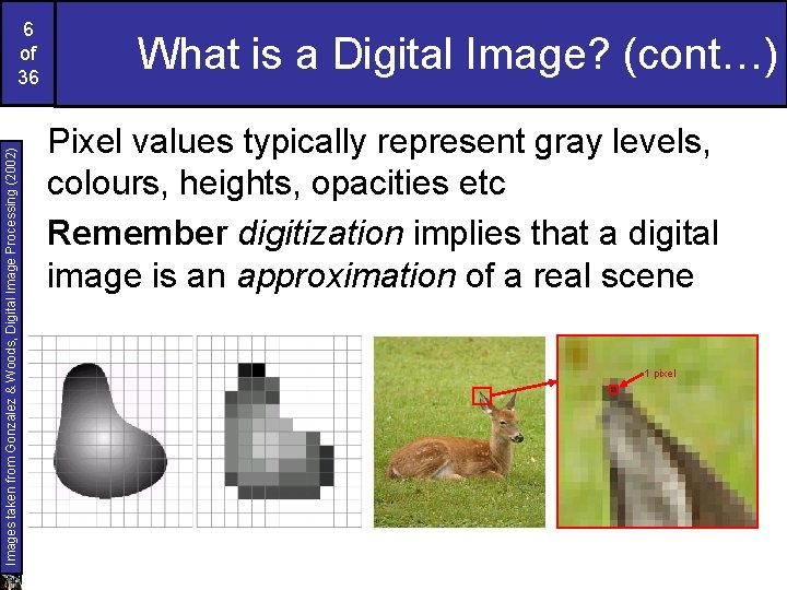 Images taken from Gonzalez & Woods, Digital Image Processing (2002) 6 of 36 What