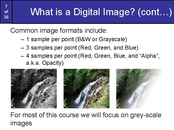 7 of 36 What is a Digital Image? (cont…) Common image formats include: –