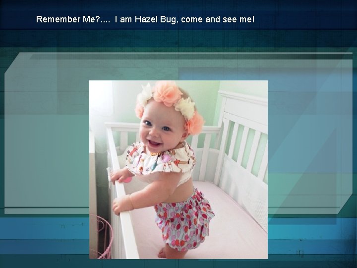 Remember Me? . . I am Hazel Bug, come and see me! Remember Me? . . I am Hazel Bug, come and see me!