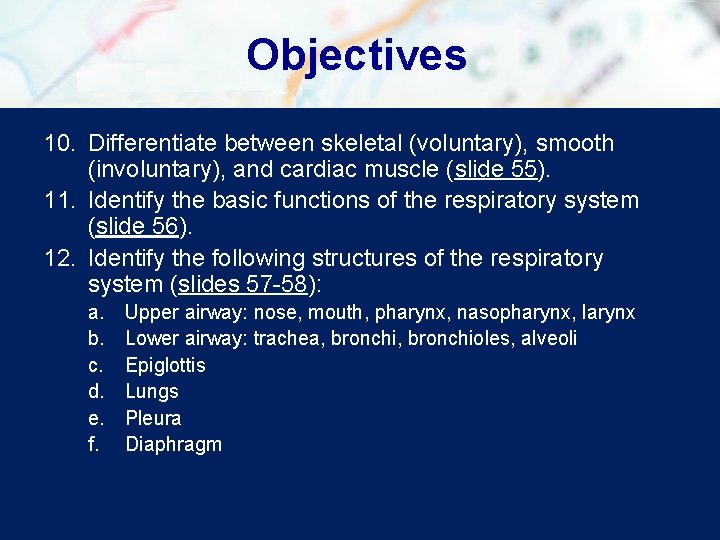 Objectives 10. Differentiate between skeletal (voluntary), smooth (involuntary), and cardiac muscle (slide 55). 11.