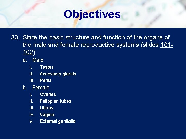 Objectives 30. State the basic structure and function of the organs of the male