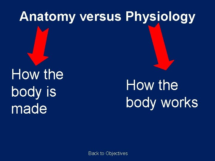 Anatomy versus Physiology How the body is made How the body works Back to