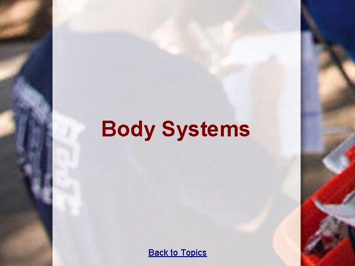 Body Systems Back to Topics 