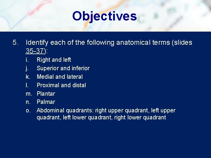 Objectives 5. Identify each of the following anatomical terms (slides 35 -37): i. j.