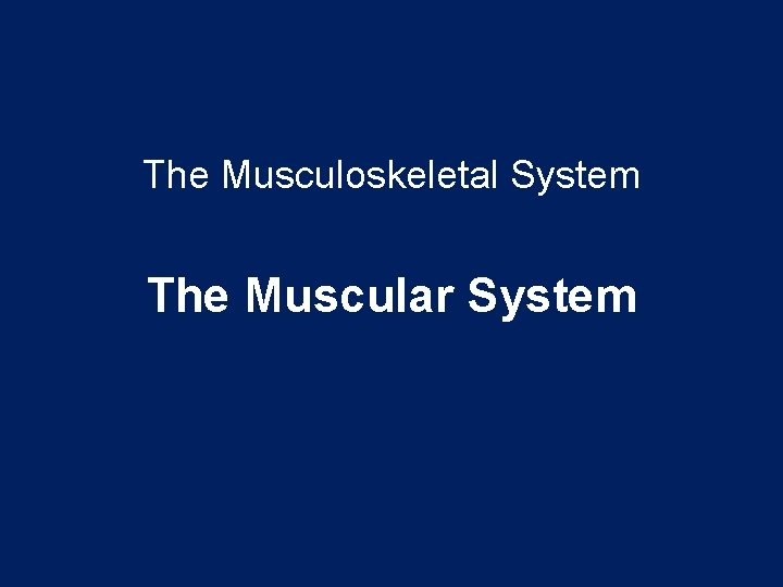 The Musculoskeletal System The Muscular System 
