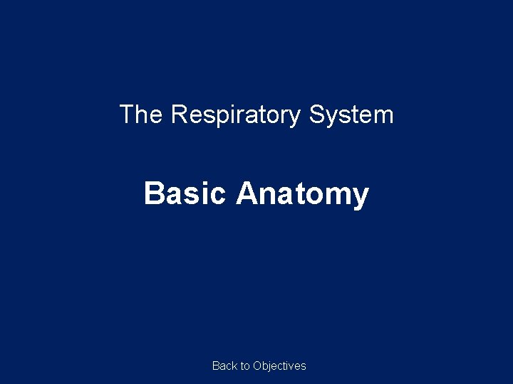 The Respiratory System Basic Anatomy Back to Objectives 
