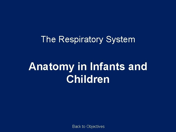 The Respiratory System Anatomy in Infants and Children Back to Objectives 