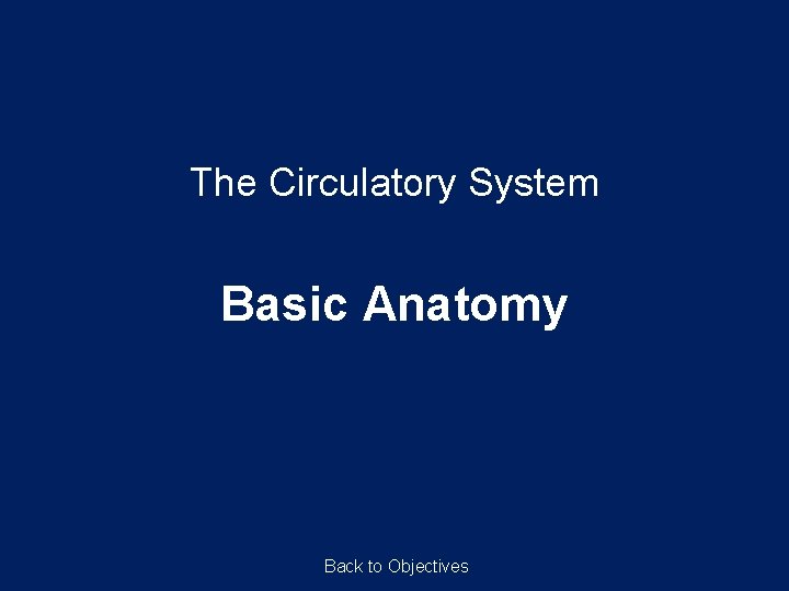 The Circulatory System Basic Anatomy Back to Objectives 