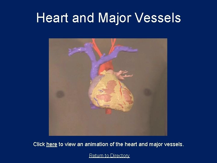 Heart and Major Vessels Click here to view an animation of the heart and
