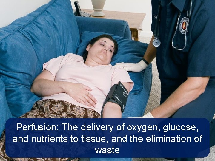 Perfusion: The delivery of oxygen, glucose, and nutrients to tissue, and the elimination of