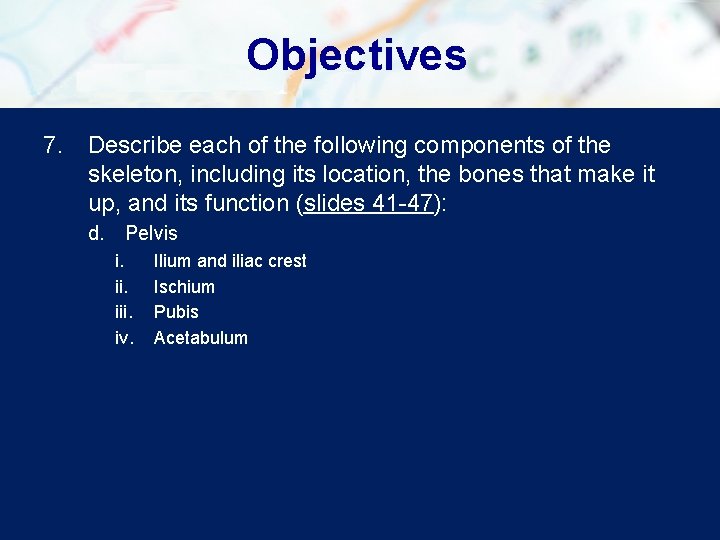 Objectives 7. Describe each of the following components of the skeleton, including its location,