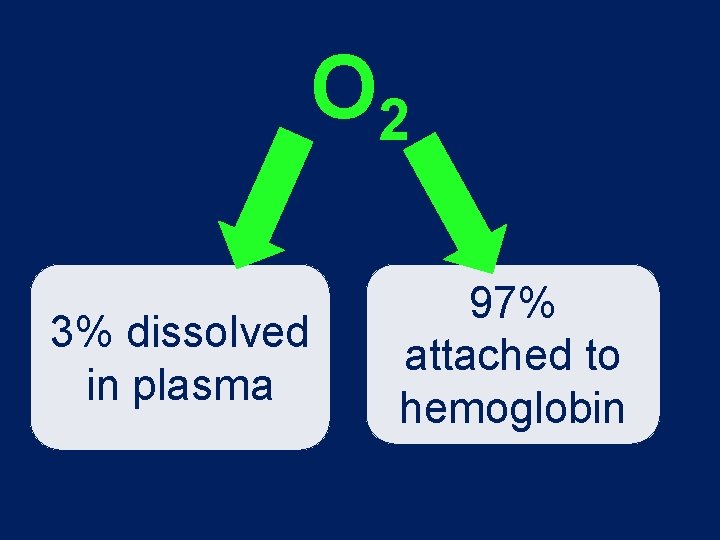 O 2 3% dissolved in plasma 97% attached to hemoglobin 