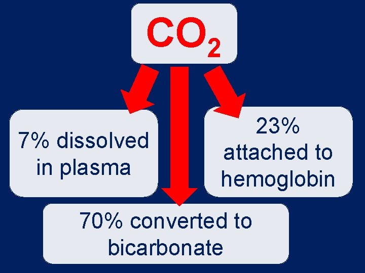 CO 2 7% dissolved in plasma 23% attached to hemoglobin 70% converted to bicarbonate