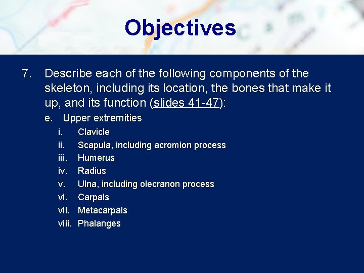 Objectives 7. Describe each of the following components of the skeleton, including its location,
